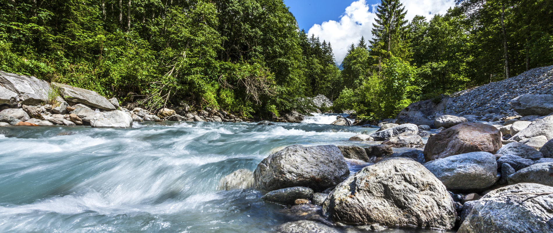 Natural Astaxanthin Meets the Demand for Sustainable Ingredients